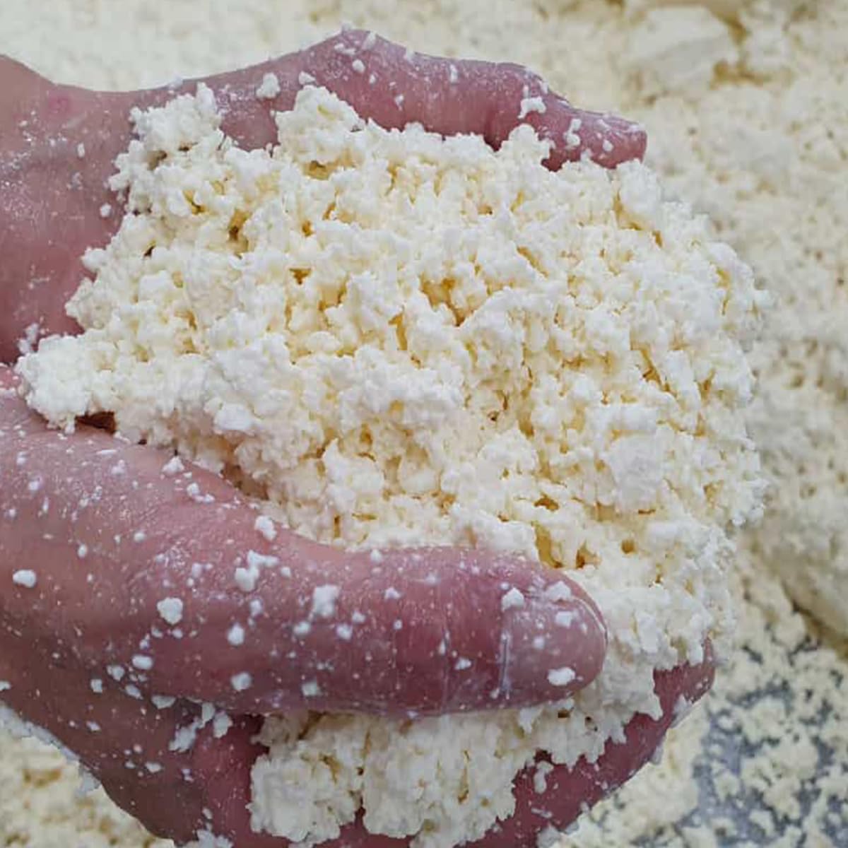 ARAMBURU Cuña de queso Asturiano Cabrales DOP Ángel Díaz, 240-250g, Origen Asturias, Envasado al vacio