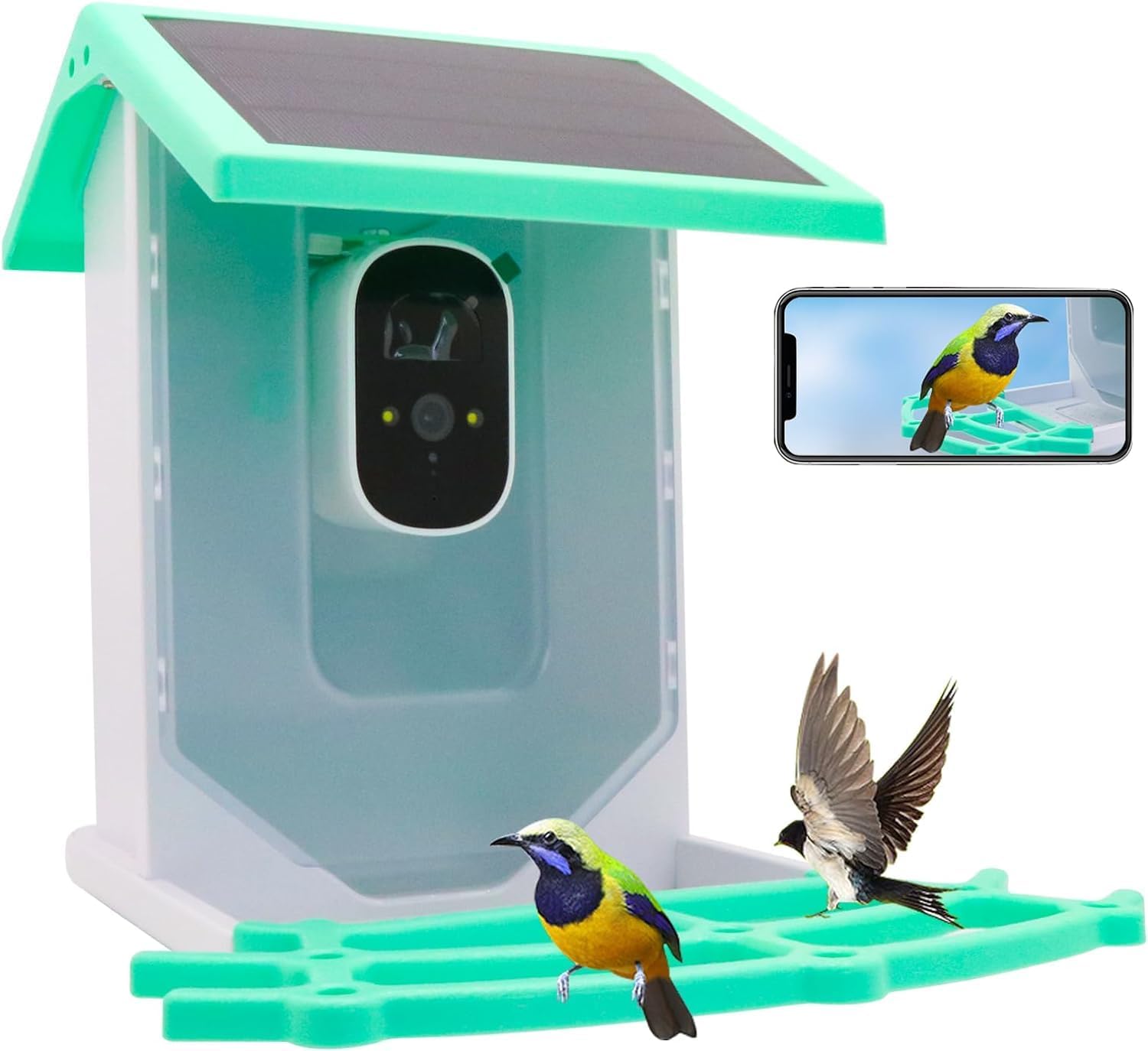 Bird Feeder with Camera, Gookit Smart AI Identify 12000+ Bird 1920HD Outdoor WiFi Solar Camera, Fully Color Night Watching Birds, Auto Capture Bird Videos with 32G Card?Green?