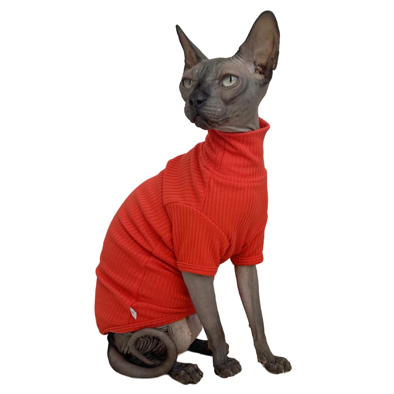 Haarlose Katzenkleidung – Baumwoll-T-Shirts & Westen Für Sphynx, Devon/Cornish Rex (Größen XS-XXL)