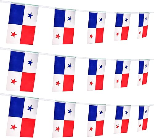 Vista 39 de ZXvZYT Cadena de bandera haitiana de Haití, pequeñas mini banderines de Haití, para gran apertura, eventos deportivos nacionales, decoraciones