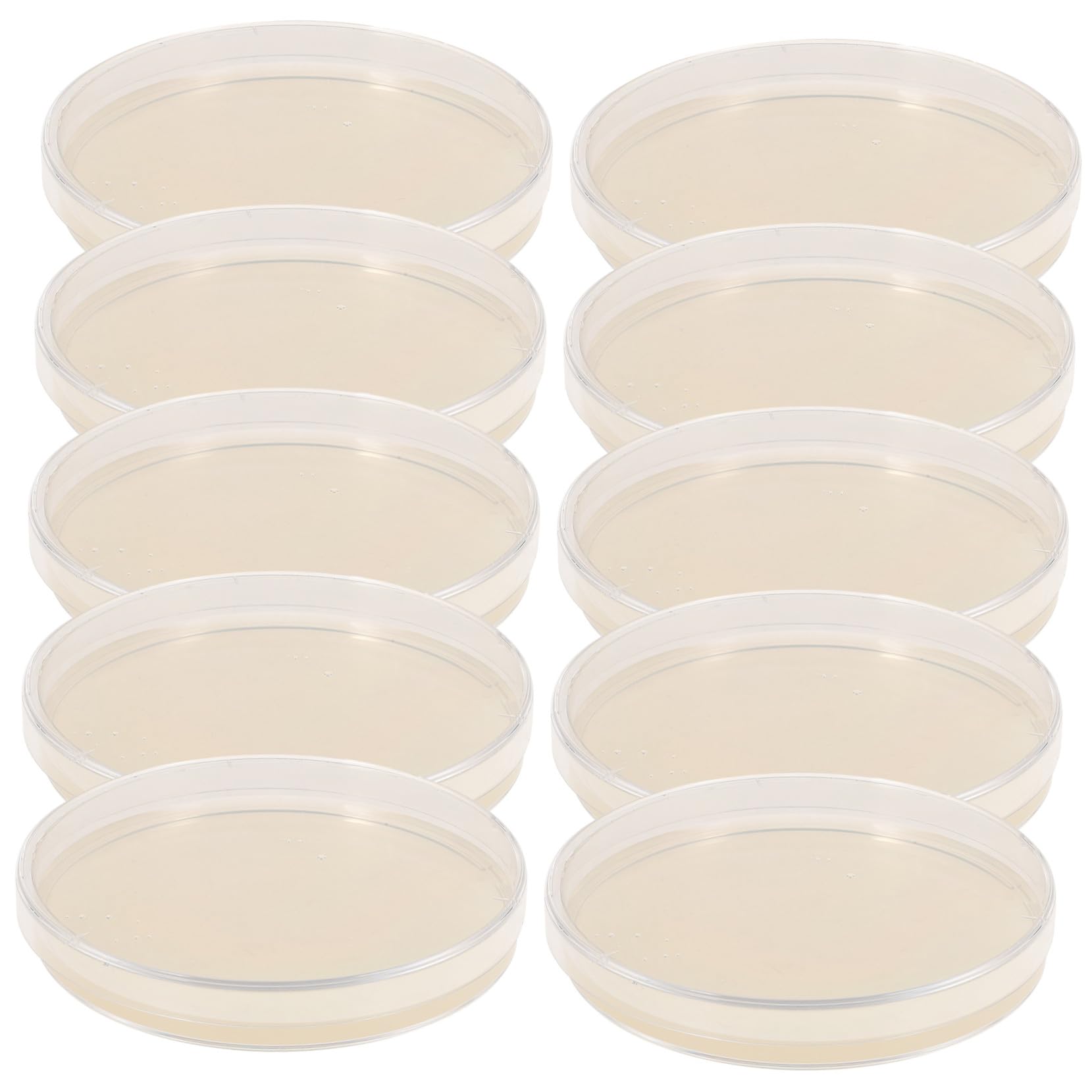 Ciieeo 10 Piastre Di Petri Agar Nutriente Pre-colato 9 Cm Strato Spesso Per Esperimenti Scientifici e Coltura Microbica, Compatte e Portatili Per Uso Scolastico e Laboratorio