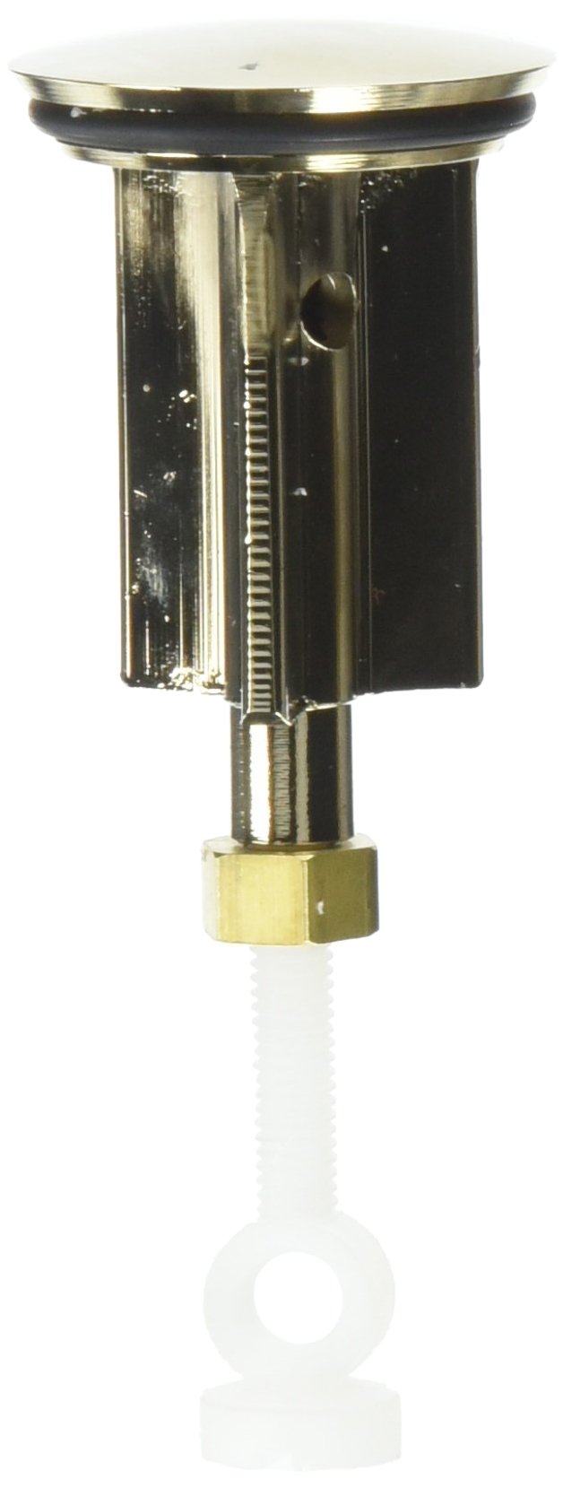Amazon.com: KOHLER K-78172-AF Stopper Assembly, Vibrant French