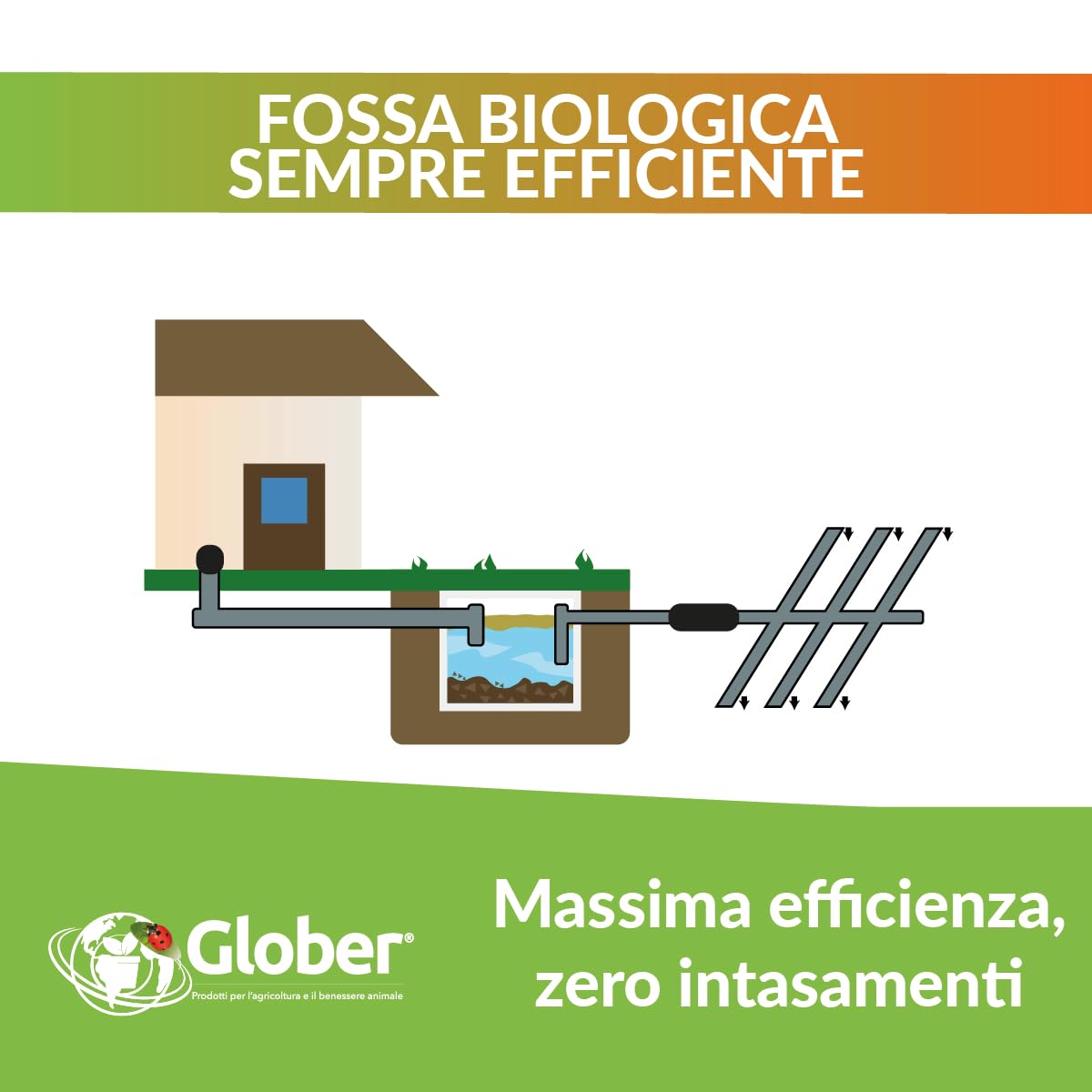 ECO-TRAP Septic Tank 1,5 Kg - Enzimi per Fosse Biologiche con Dosatore - Attivatore Fossa Biologica - Made in Italy - Pulizia e Manutenzione Circolare Fosse Settiche, Elimina Cattivi Odori e Ingorghi