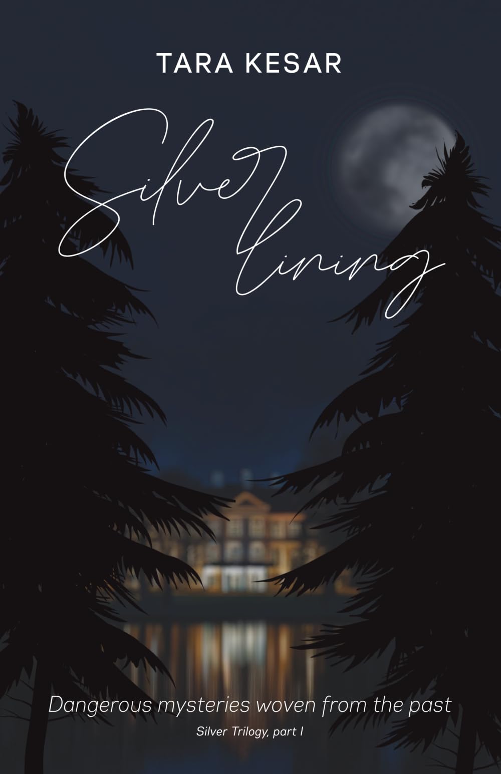 Silver Lining: Dangerous mysteries woven from the past (The Silver Trilogy)