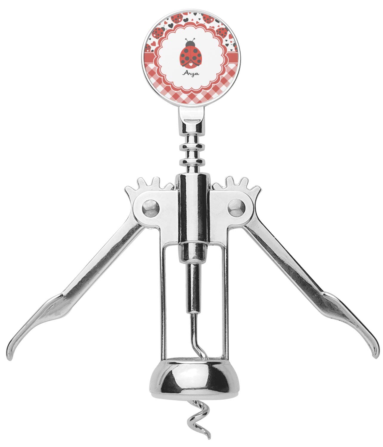 Personalized Ladybugs & Gingham Corkscrew