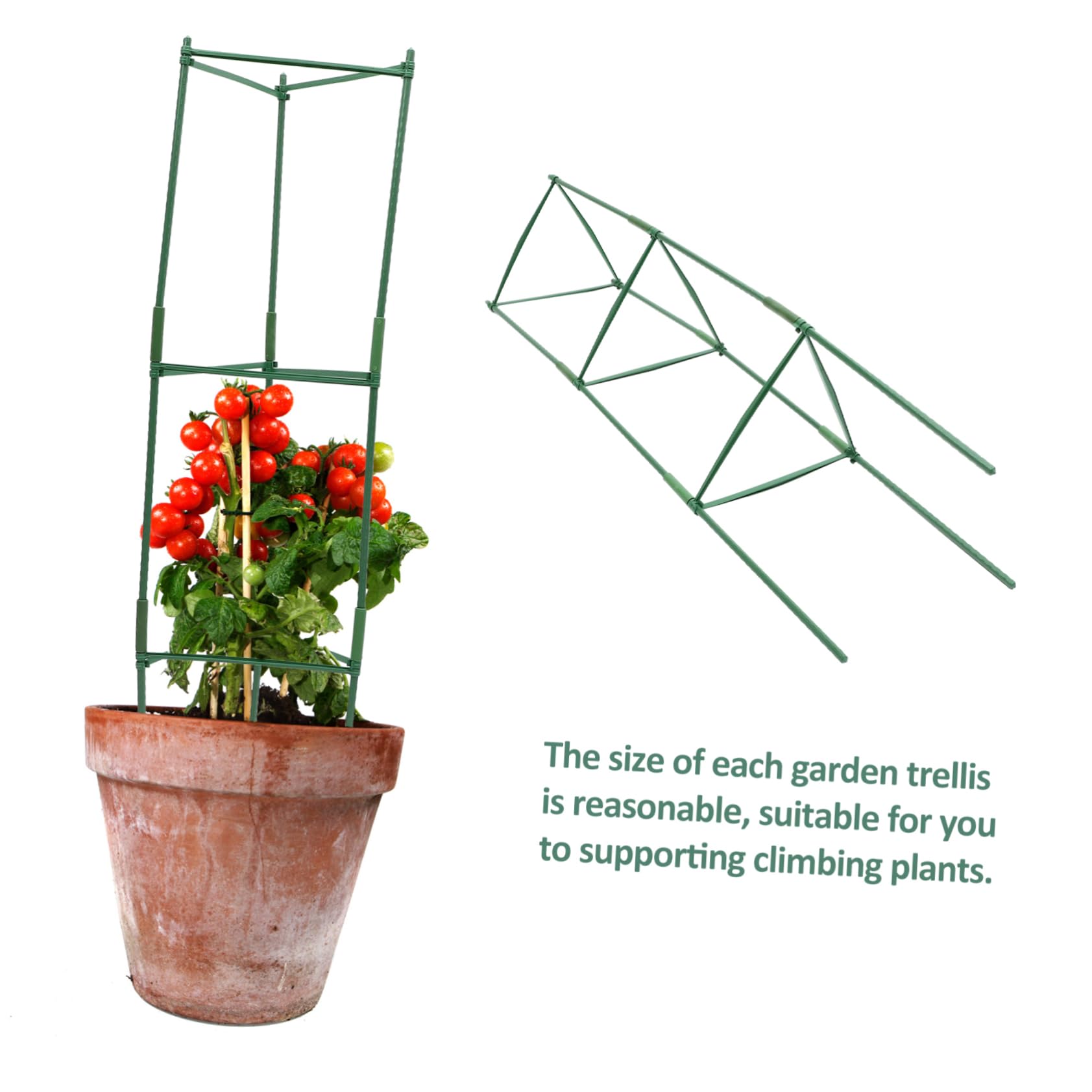 Traliccio per Cetrioli da Giardino,Graticcio Da Giardino Per Piante Rampicanti,Supporti Per Colture Di Viti,Metallo Antiruggine Supporto Piante in Prato Vaso Cortile Fiori Esterno Frutta Viti