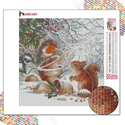 Huacan 5D DIY Diamond Painting Kits for Adults Animals Bird and Squirrel Full Square Drill Snow Scene Christmas Picture Crystal Rhinestone Embroidery Mosaic Art Home Wall Decor Gift 30x30cm