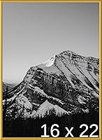 Vista 213 de Frame It Easy Marco de metal rojo de 24 x 36 pulgadas (Hanover)