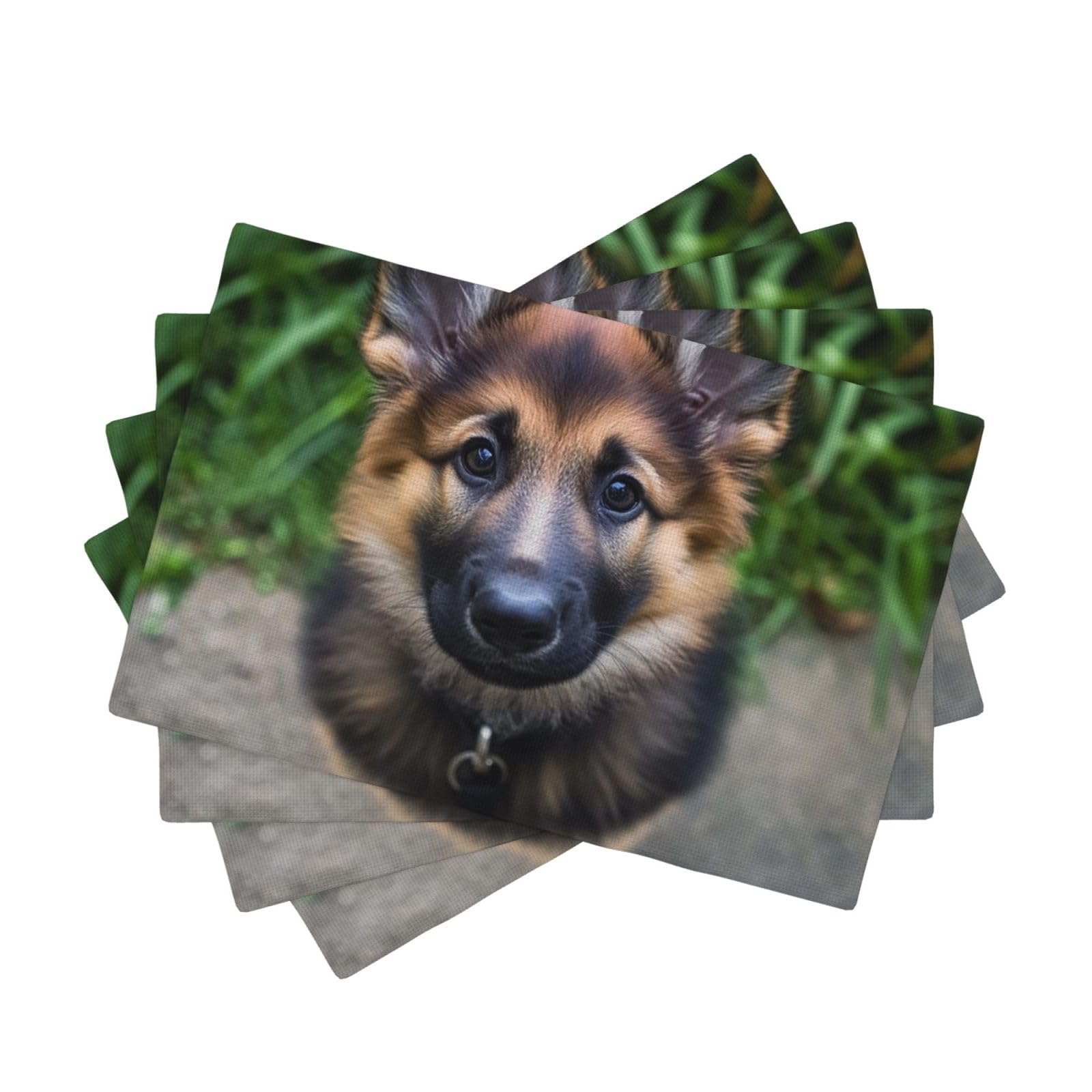 Placemats Set of One Size Washable Wipeable Table Mats Heat Resistant Weave Place Mats Cute german shepherd Placemats Wrinkle Free Place Mats for Dining Table Kitchen Decor