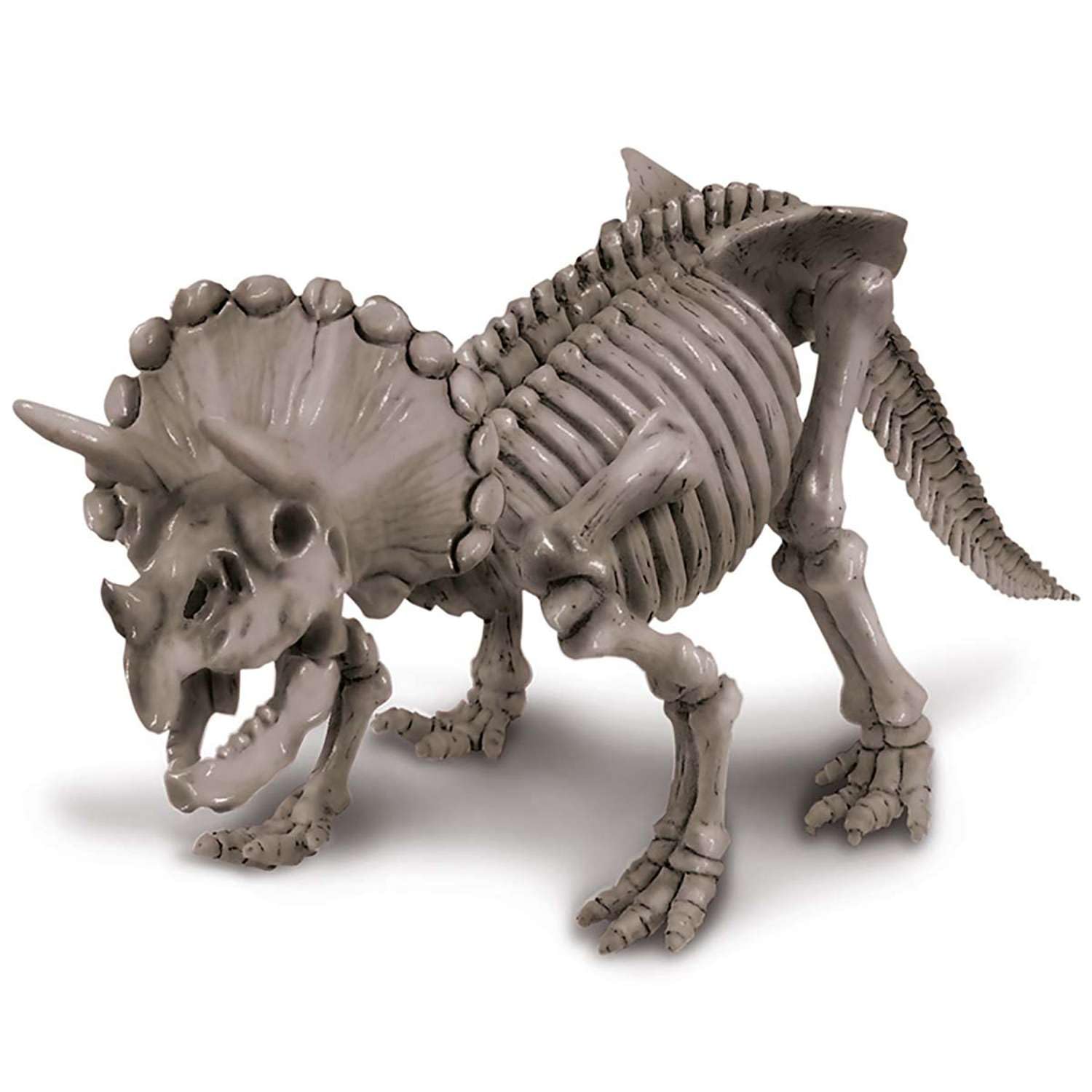 Amazon.com: 4M Dig a Triceratops Skeleton Kit for Kids Ages 8-12