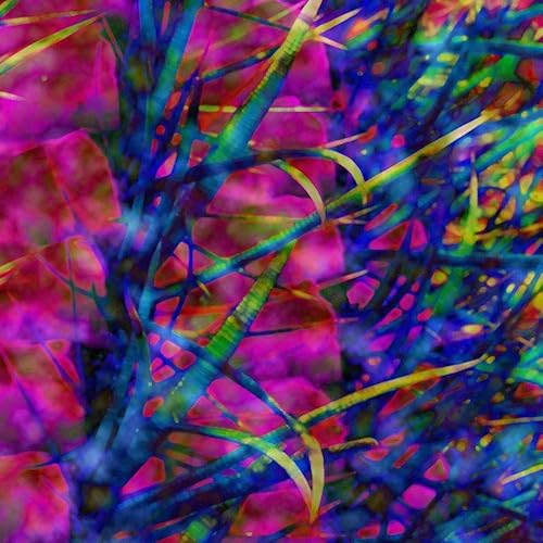 Posterazzi PDXWJTABS00082SMALL Color Blast XIX Popcorn Poster Print, 18 x 18, Multicolor