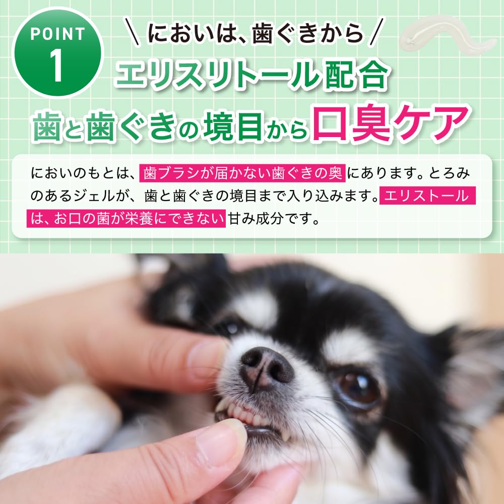Amazon.co.jp: 【獣医師・歯科医師開発】WANSER ハグキスマイル 犬