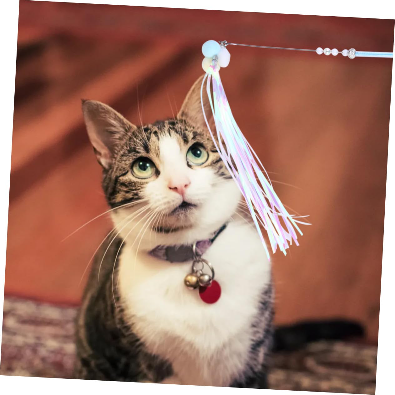 Toddmomy 9pièces Jouet Interactif pour Chat Baguette à Plumes Et Clochettes Accessoires Amusants pour Chats De Teasers