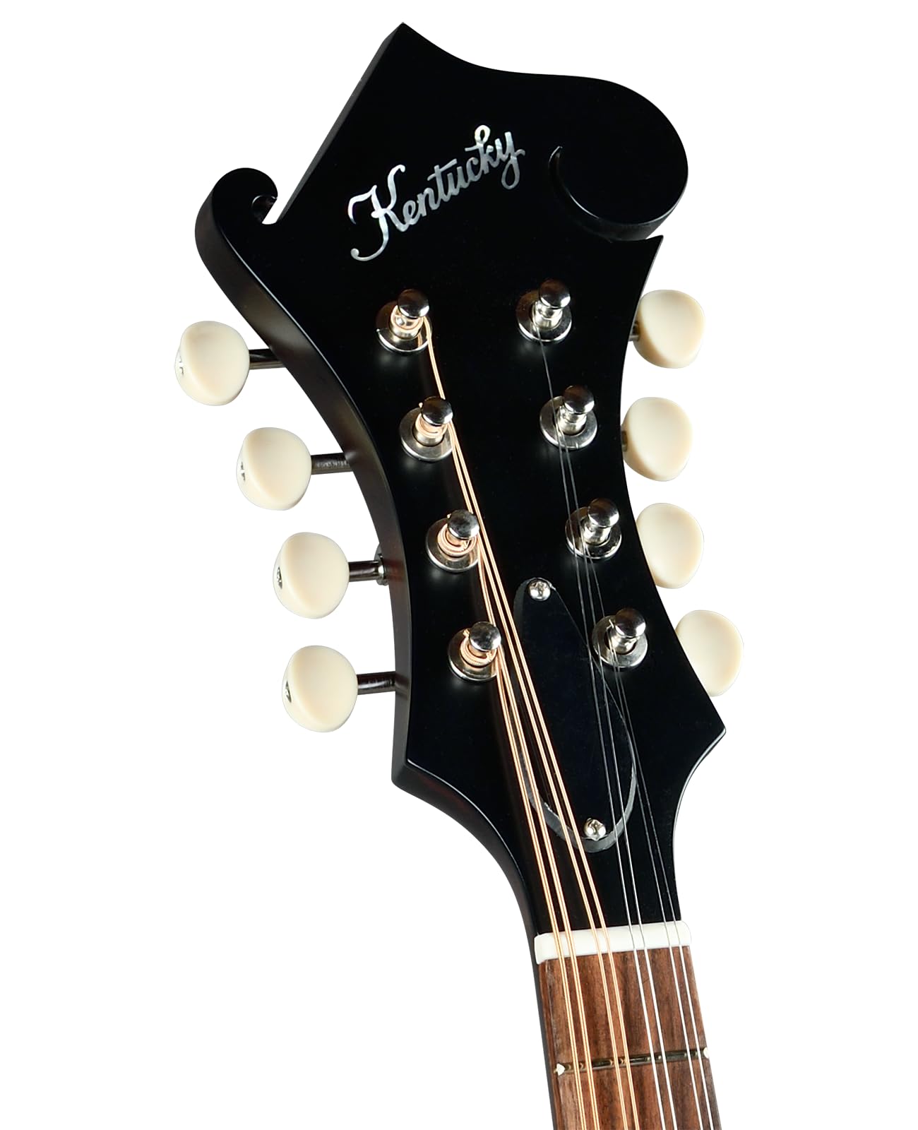 Amazon.com: Kentucky KM-626 Standard Oval Hole F-Model Mandolin