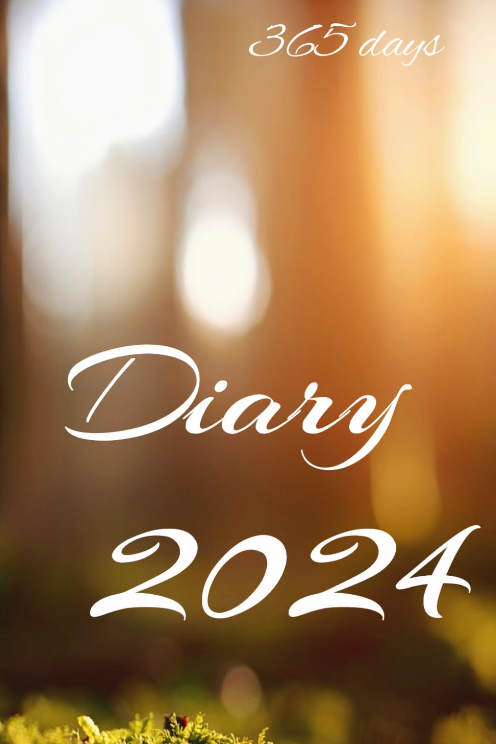 Diary 2024: your 365 days daily planner for a successfull and memorably year.
