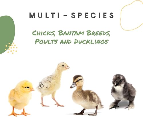 Miniatura 10 de Manna Pro Chick Grit