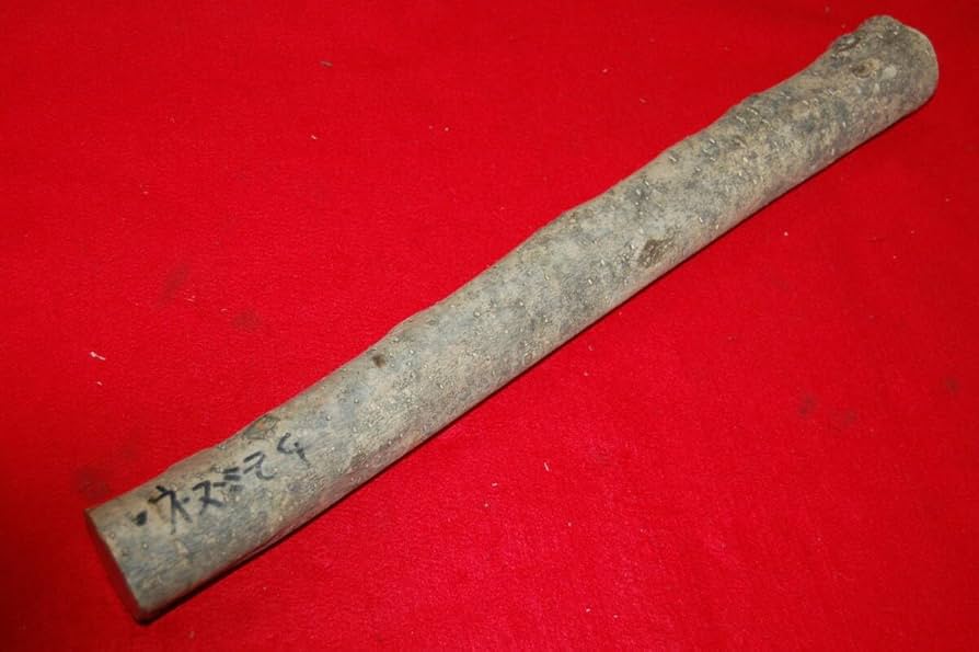 n2408(*´꒳`*) 一体型＋ねずみ n2408(*´꒳`*) 一体型＋ねずみ n2408(*´꒳`*) 一体型