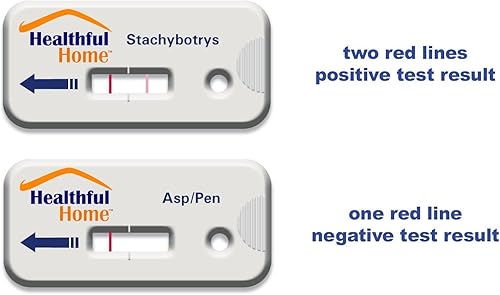 Miniatura 6 de Prueba de moho de 5 minutos marca Healthful Home Aspergillus/penicillium y stachybotrys. Funciona incluso si no puede ver el moho. No más esperar