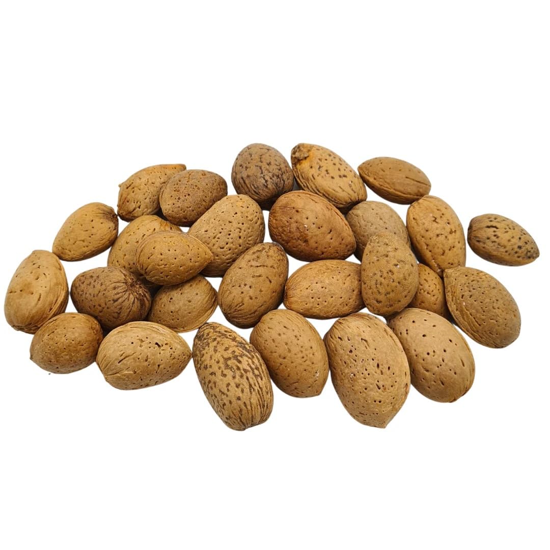 Superpet Premium Almonds in Shells, Natural Squirrel Food and Parrot Food Enrichment Treat, Unsalted Bird Nuts for Wild Birds and Garden Wildlife Feeding, 2kg