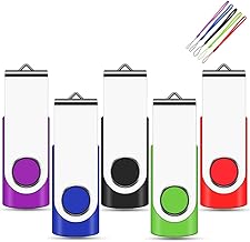 Clé USB 2 Go, EASTBULL Cle USB 2.0 Flash Drive Stockage Clef USB Pivotantes U Disque Mémoire Stick Pendrive avec 5 Cordes, Ensemble de 5 (Noir Bleu Violet Rouge Vert)