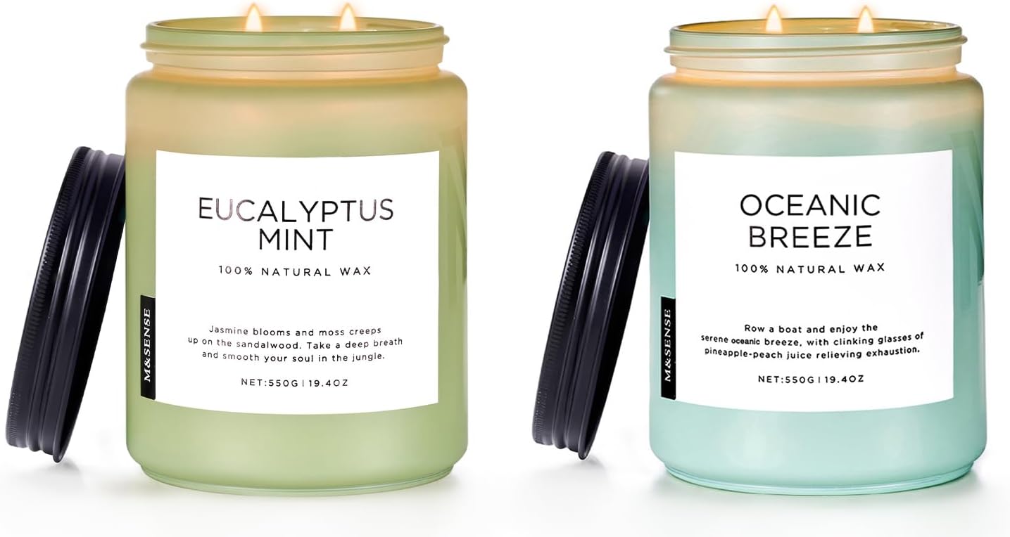 M&SENSE 19.4oz Eucalyptus & Mint & Oceanic Breeze Candle for Home Scented, Up to 110 Hours Natural Soy Wax Aromatherapy Candle for Housewarming Gifts