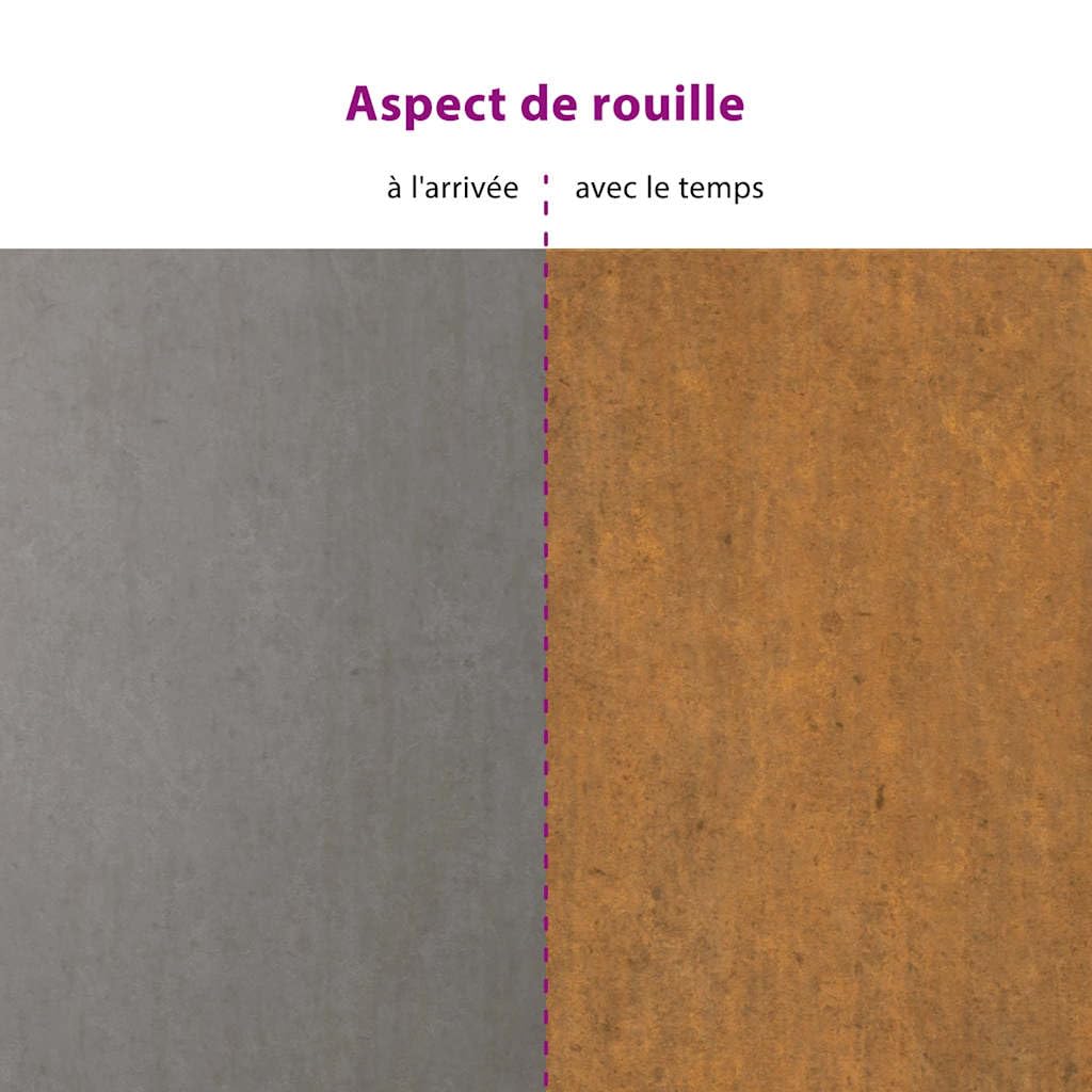vidaXL Lit Surélevé de Jardin, Jardinière d'Extérieur, Pot de Fleurs, Bac à Plantes, Boîte de Plantation Balcon Patio, 100x100x36 cm Acier Corten