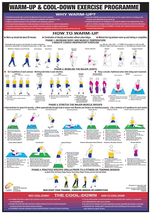 Chartex Warm Up Cool Down Exercise Poster | Stretching Exercise Chart