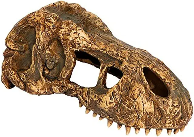 Crâne de T-Rex Exo Terra pour Terrarium Serpent - Décoration Sécurisante Taille S