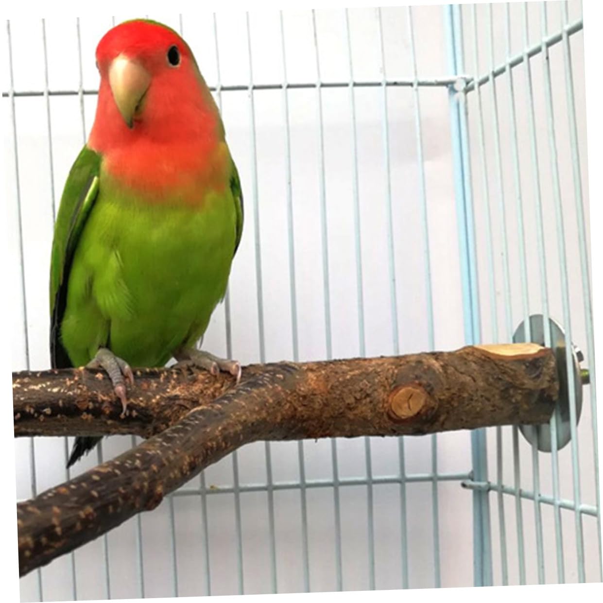VANZACK 3sätze Vögel Spielzeug Woven Parrot Stand Rack Für Wellensittiche Nymphensittiche Und Kleine Vögel Installieren Und Für Vogelkäfig Zubehör