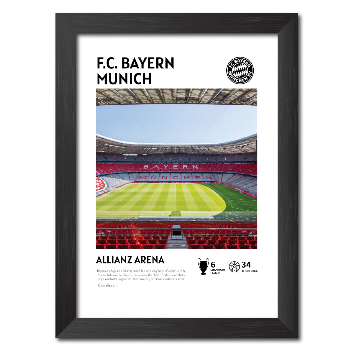 TenorArts Bayern Munich Stadium Poster Allianz Arena Ground Laminated Photo Frame Painting with Matt Finish Black Frames (12 inches x 9inches)