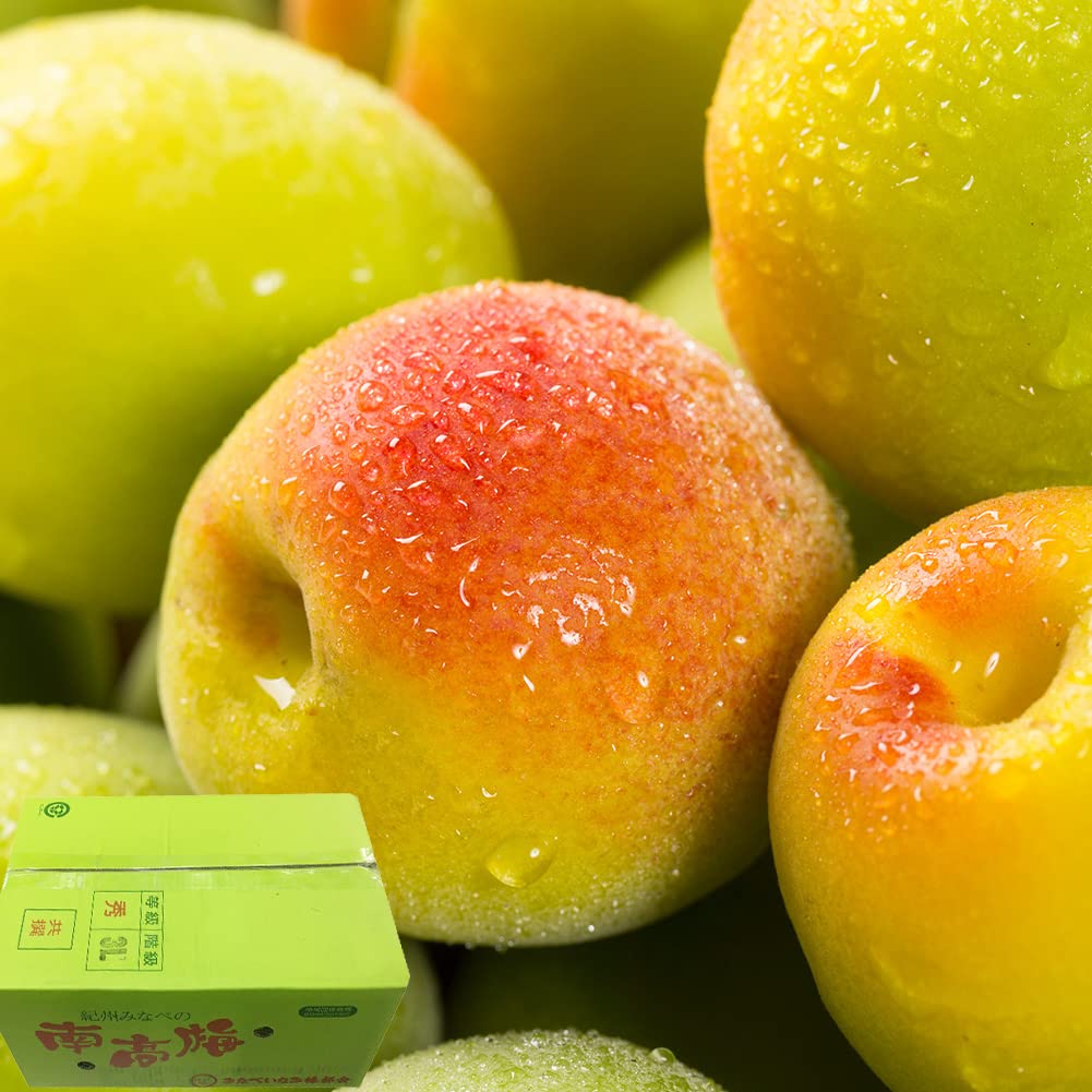 Amazon.co.jp: 梅 南高梅 秀品 約10kg 3Lサイズ 和歌山県産 JA紀州  