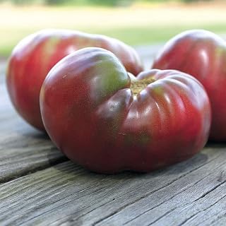 50 Pcs Organic Cherokee Purple Tomato Seeds- Purple Calabash- - [ByndCA] Extremely Sweet- Fast Growth Fresh Seeds / (V032)