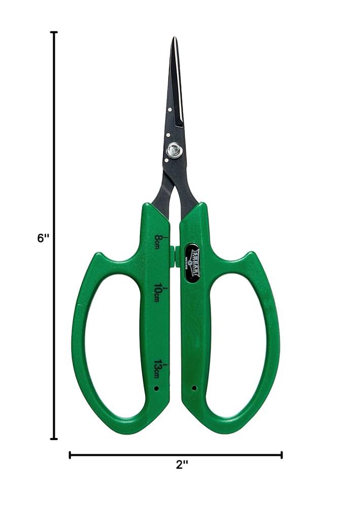 Amazon.com : Shear Perfection Bonsai Scissors, 2