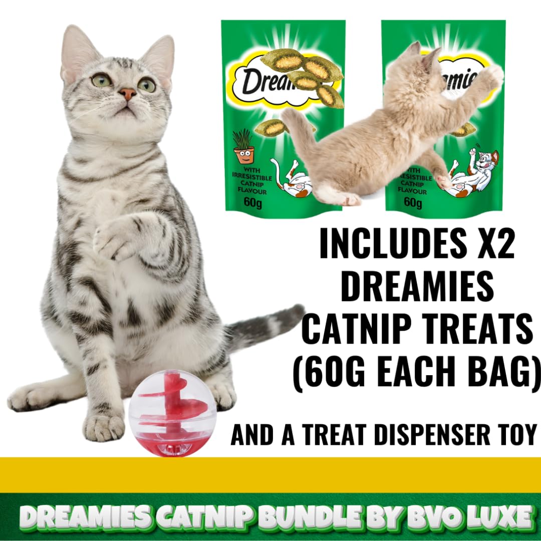 Crunchy Catnip Treats & Toy Bundle - 2 x 60g Cat Biscuits with Interactive Treat Dispensing Ball, 40 g (Pack of 3) - Image 3