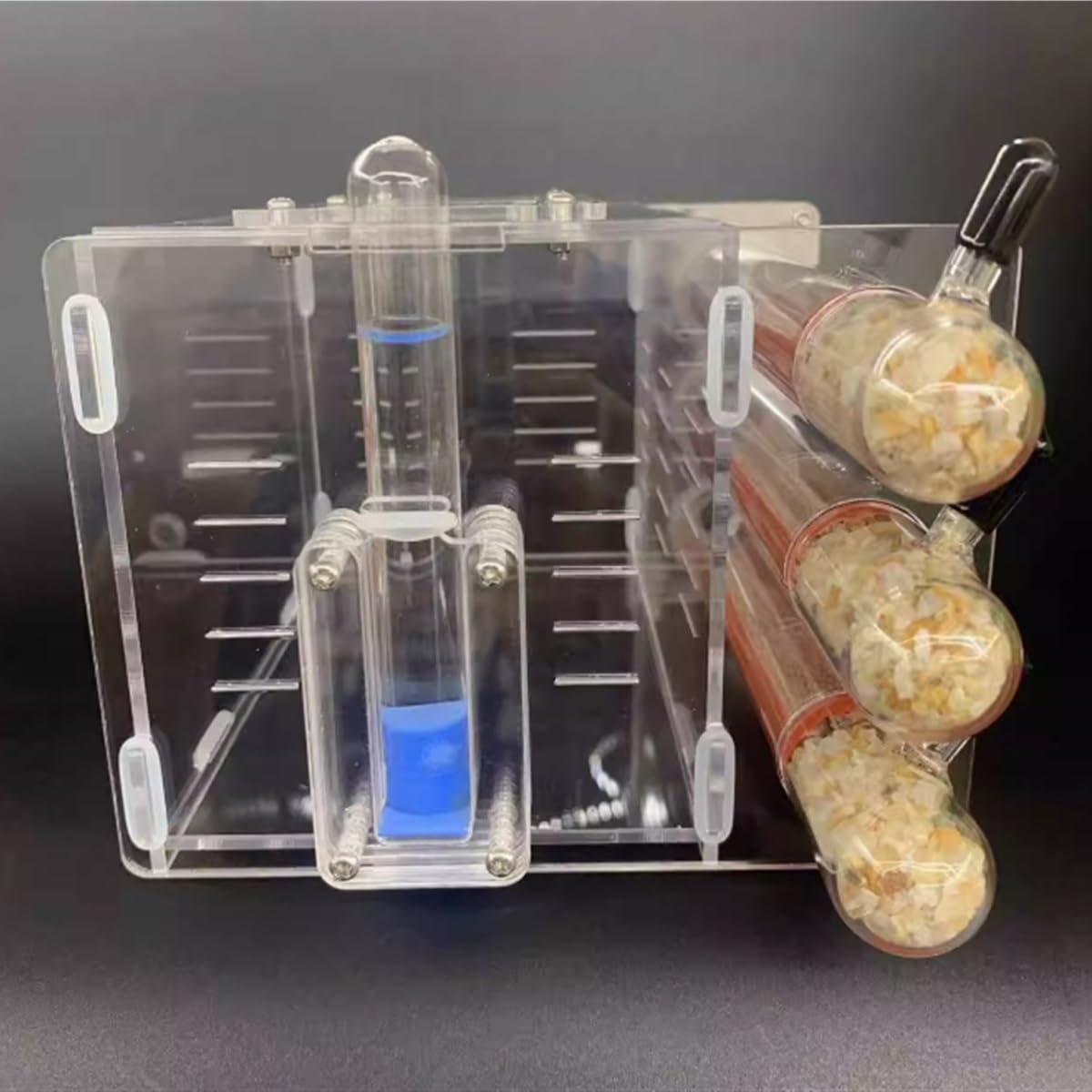 Formicarium Hormiga Hormiguero, Ecológico, Tubo De Ensayo, Nido con Torre Agua, Castillo Hormigas Granja Hormigas