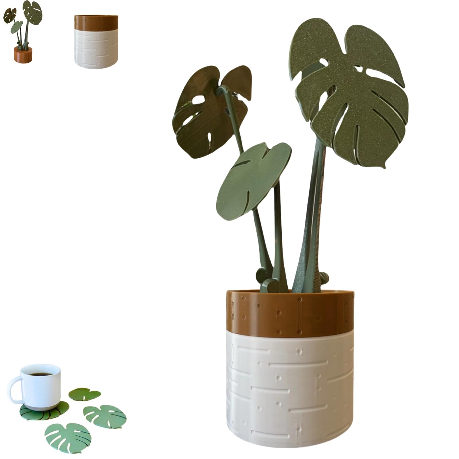philodendron white princess tricolor Shop Variegated Philodendron White Princess Mature Plant main image 0