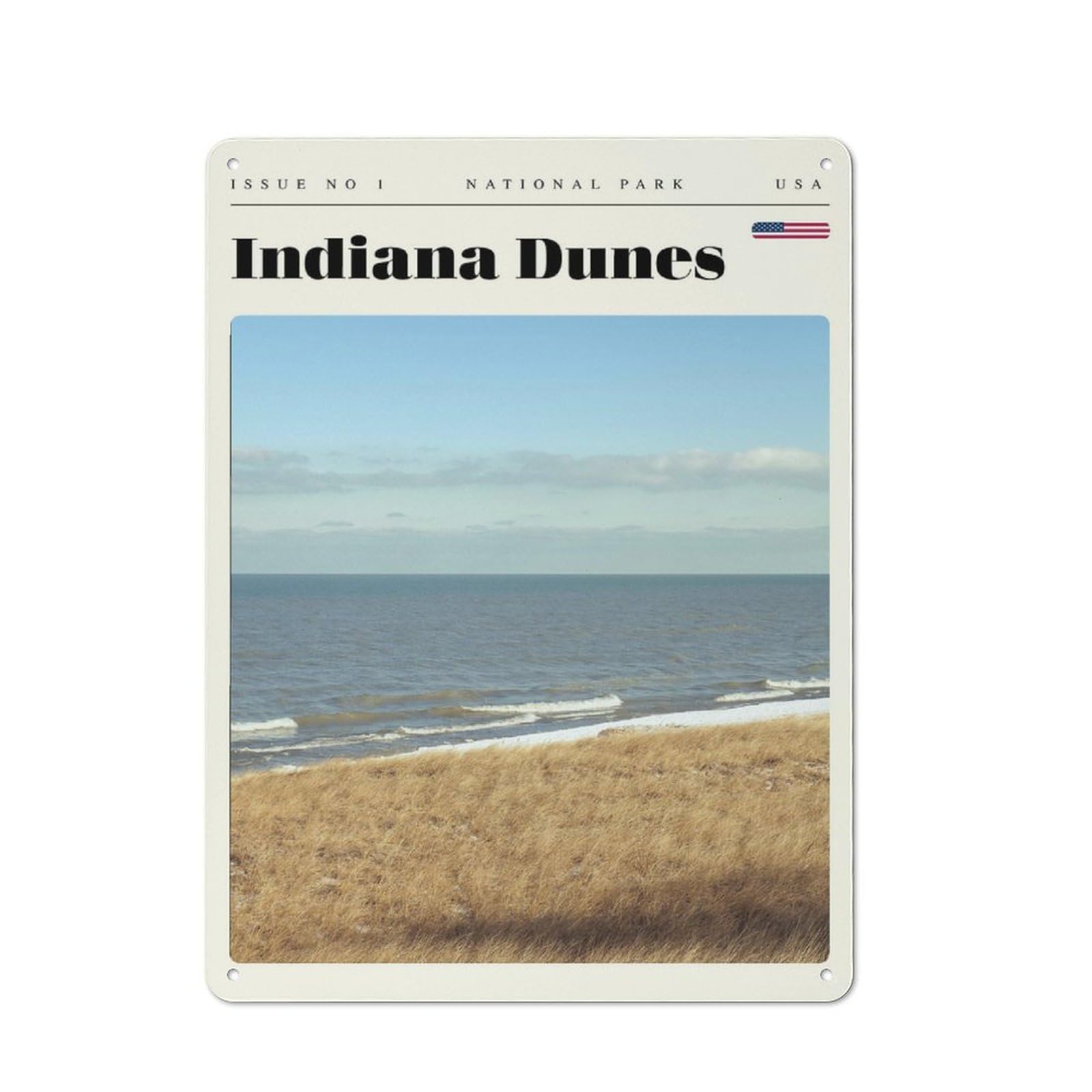 Junmoney Style-9 For Garden Room Or Summerhouse, Indiana Dunes National Park Travel Art Retro Metal Sign 40X30cm, For Vintage Wall Decor Fans, For Metal Sign Collectors