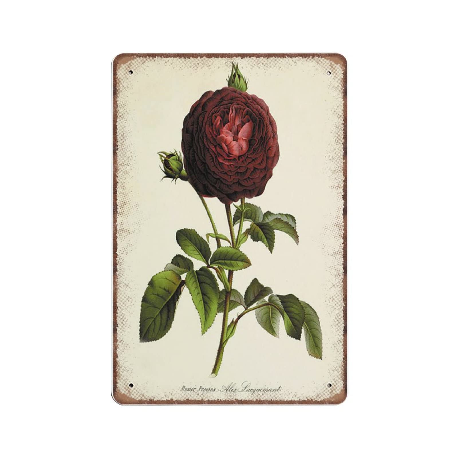 rayprint Funny Vintage Sign Red Rose Flower Decor Botanical Metal Tin Signs for Kitchen Garden Garage Bathroom Wall Decor 8 X 12 INCH