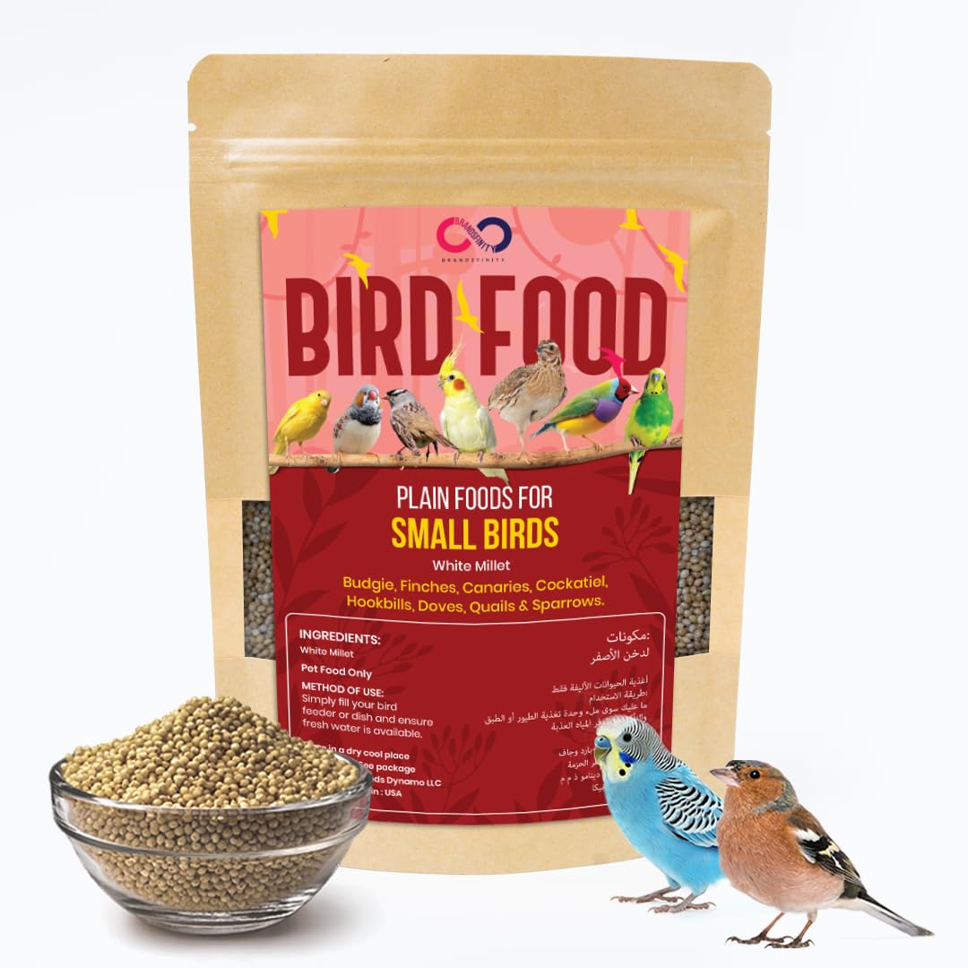 Brandsfinity 400g Bird Food for Small Birds – White Millet Bird Feed for Budgies, Canaries, Zebra Finches, Love Birds, Birdhouses, Outdoor Feeders