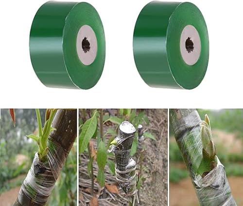 Basoteeuo LTKJ - 2 rollos de cinta de injerto de jardín biodegradable para viveros, cinta elástica de jardinería para plantas y árboles frutales,
