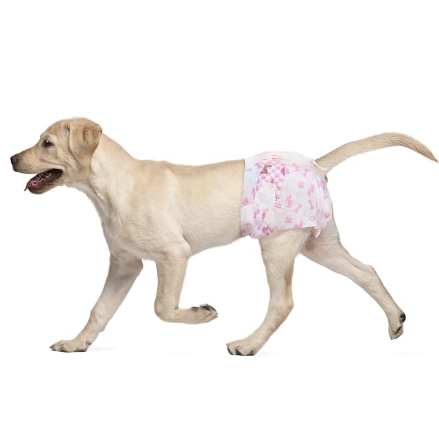 Dono Pañales Desechables para Perros Hembras, Pañales Super Absorbentes para Perros