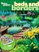 Beds & Borders (Better Homes and Gardens Gardening)