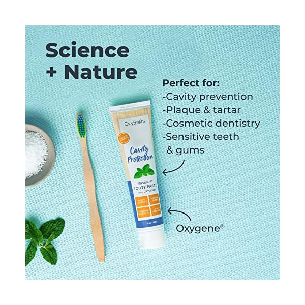 Premium Oxyfresh Cavity Protection Fresh Mint Fluoride Toothpaste