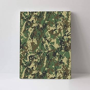 アートパネル 青茶迷彩模様 アートパネル 青茶迷彩模様 Amazon.co.jp: 絵画 インテリア