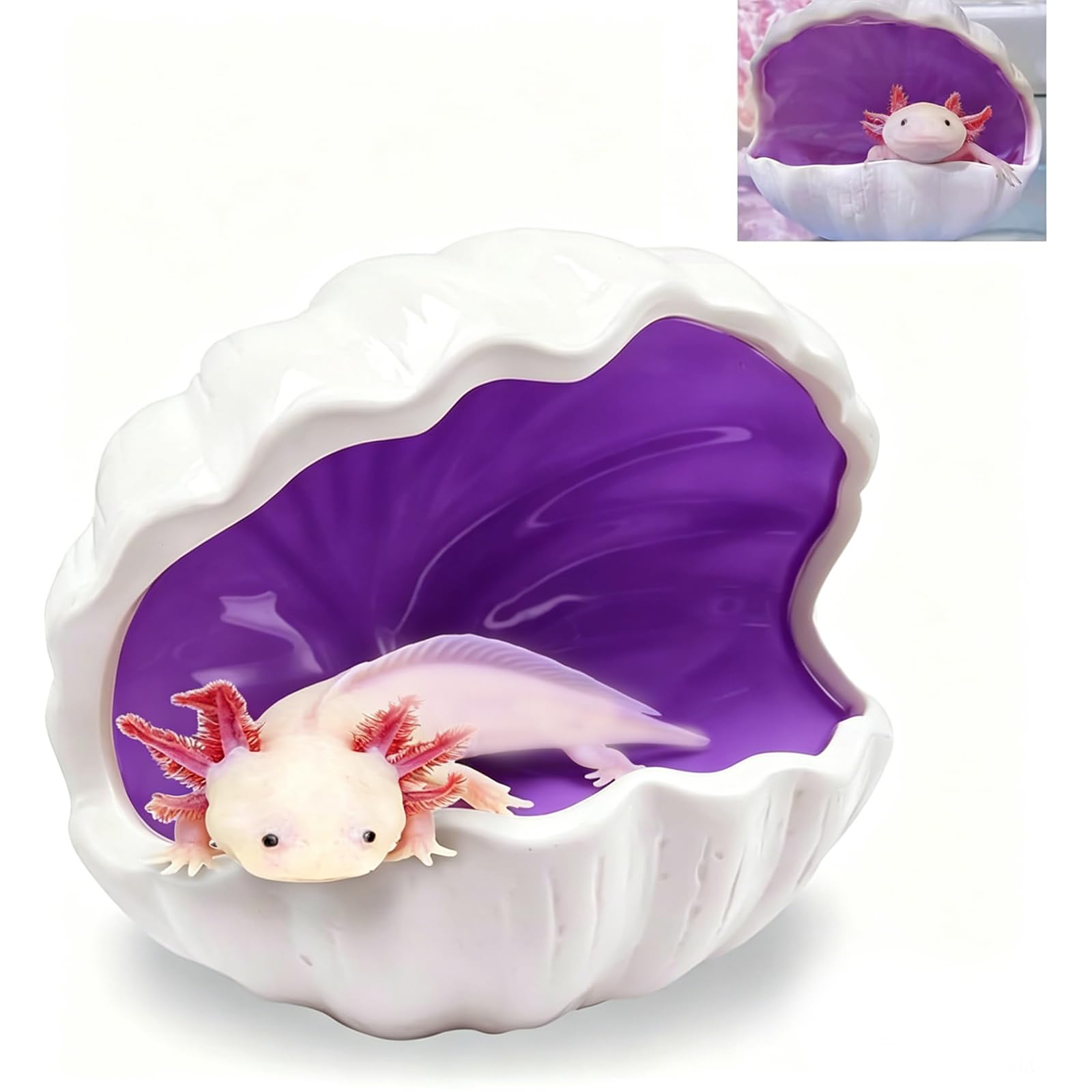 PetPhindU Axolotl Hide Shell Shape Ceramic Fish Tank Cave, Double Sided Glaze, Fish Tank Decor Shelter for Small Pet Frog Fish Betta (Extra Large, Pink) (Purple, 1PCS)