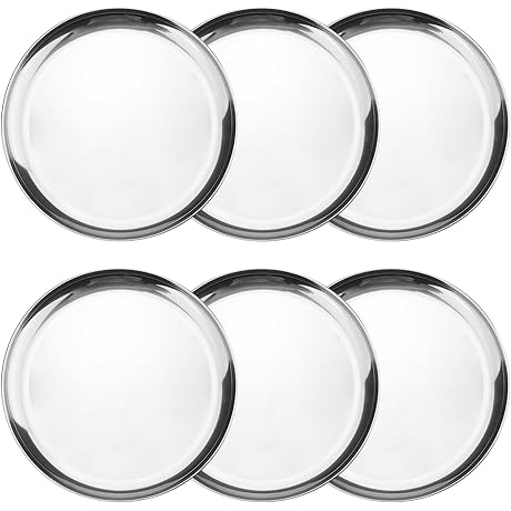 6-Piece Indian Plates: Premium Stainless Steel for All Dining Occasions