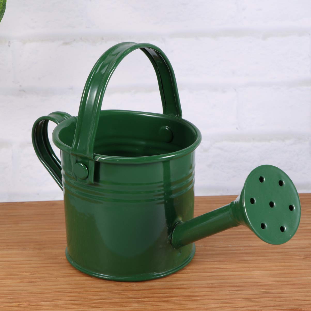 5 Stück Metall-Gießkanne, Pflanzgefäß, moderner Gießtopf mit Griff, Gießkessel for Garten, Zuhause, Blumen, Pflanzen, Sukkulenten / 1524