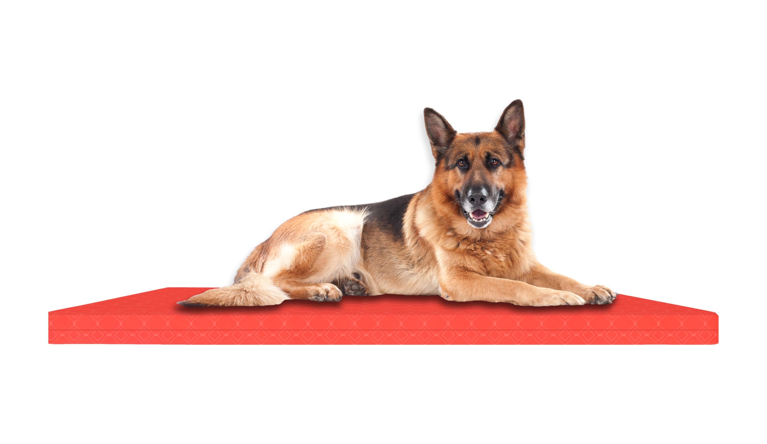 SAPPHIRE Medium Orthopedic Dog Bed, Waterproof Washable Dog Mattress with Removable Cover, Dog Crate Mat with Reversible Design, Red, 90L x 60W x 6