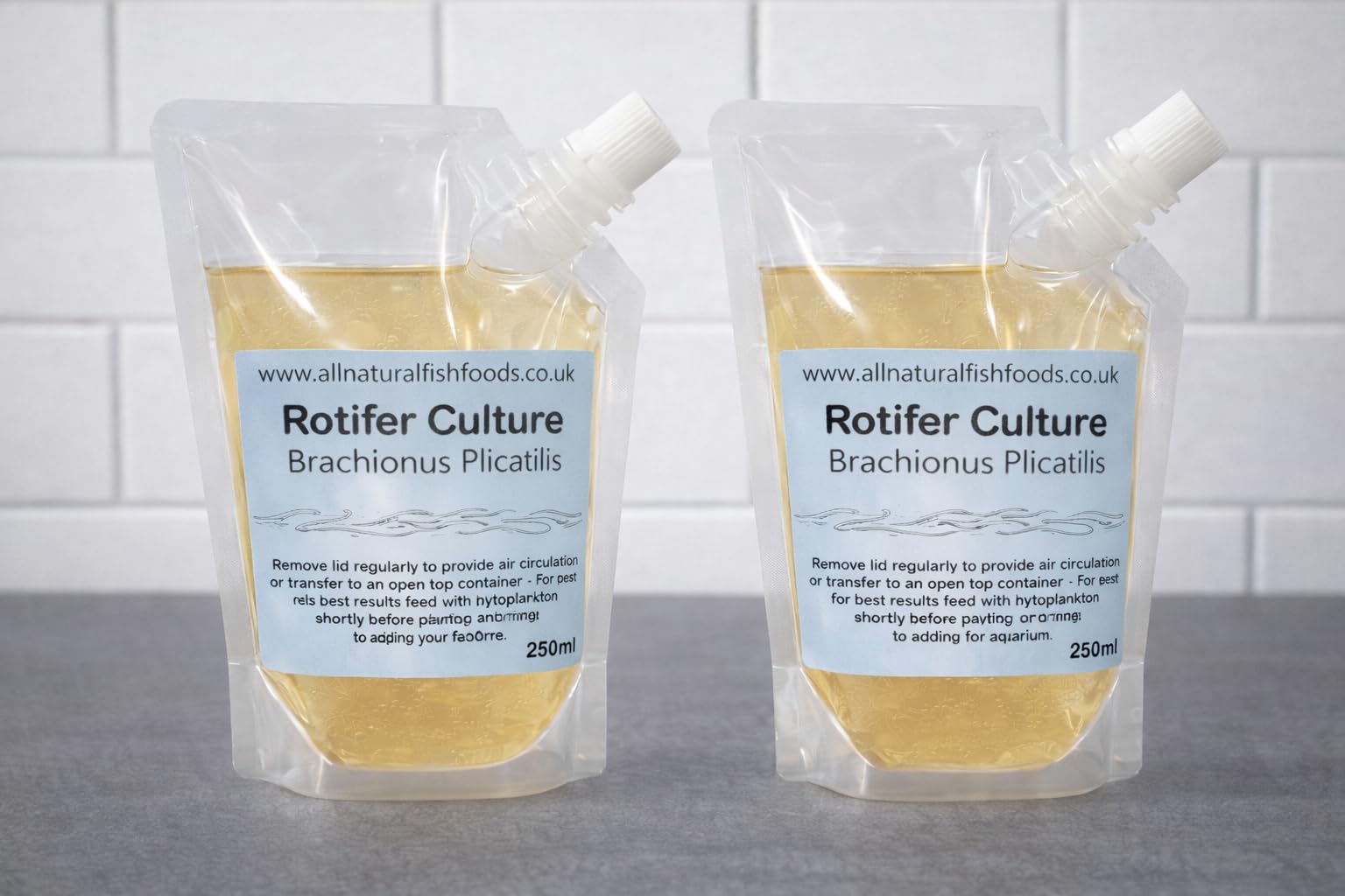 Live Marine Rotifers 1Ltr – Brachionus plicatilis Culture Reef Food | SPS LPS Corals | Seahorse Mandarin Clownfish