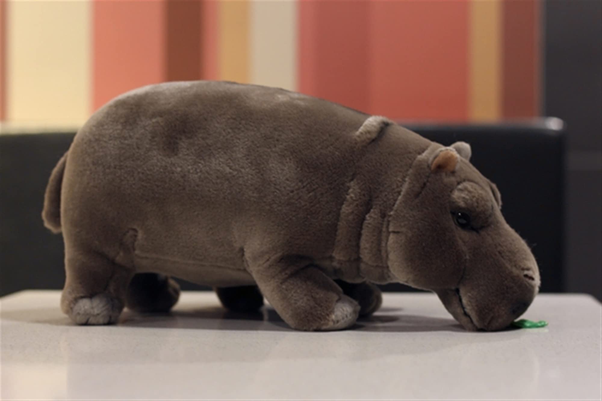 Amazon.co.jp: 12インチの生涯立っているカバぬいぐるみ動物のおもちゃ